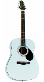 GregBennett D1/PW