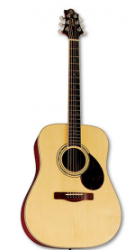 GregBennett D5