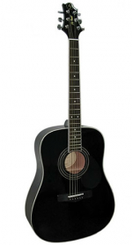 GregBennett GD100S/BK