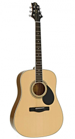 GregBennett GD101S/N