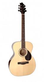 GregBennett GOM100S/N
