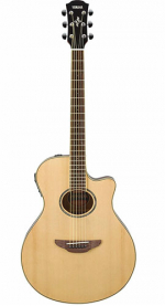 Yamaha APX600N