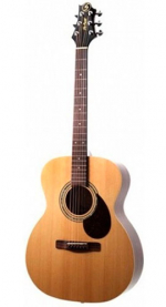 GregBennett OM2