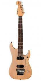Washburn N27NM