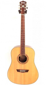 Washburn WD20S