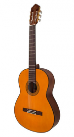 Yamaha C80